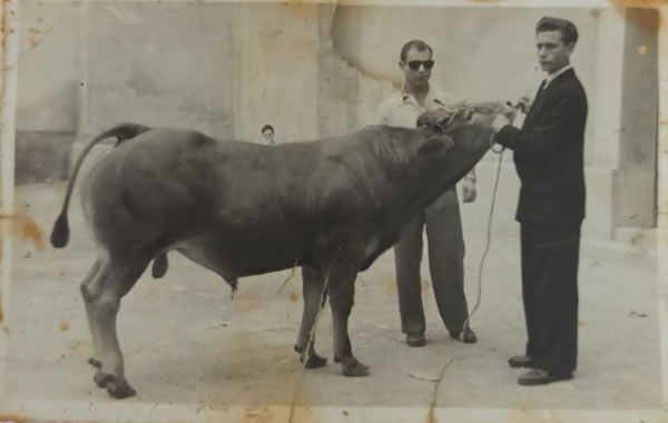 José Gómez José con 14 años (trabajando de luto de su padre, José Gómez Álvarez) - año 1951